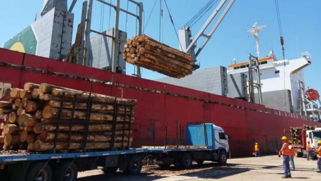 Entre Ríos: La reactivación portuaria genera un fuerte impulso a la industria forestal