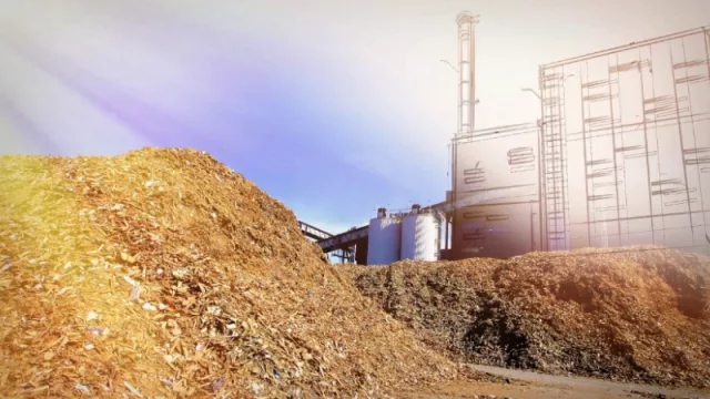 Industria que producirá bioenergía en Corrientes goza de los beneficios del Régimen de Promoción de Inversiones