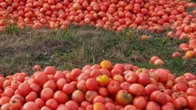 Preocupante situación entre productores frutihortícolas (se siembra y se paga la cosecha en dólares, pero se vende en pesos)