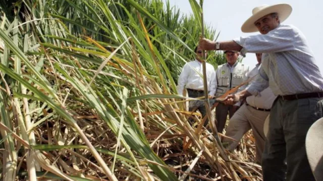 Azucareros jujeños reclaman la urgente apertura de paritarias, ¿Está en riesgo la continuidad de la zafra?