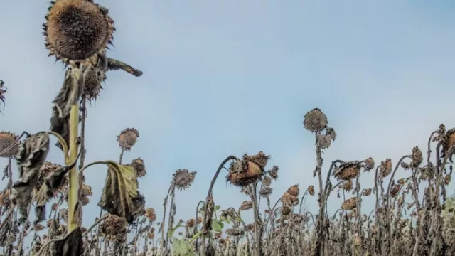 Demografía: Tras un verano tórrido y mortífero, ¿qué nos espera en invierno?