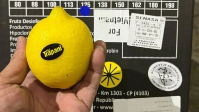 El NOA exporta los primeros limones argentinos a Vietnam