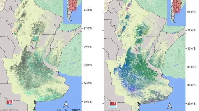 El INTA presentó el cuarto mapa nacional de los principales cultivos extensivos del país (Jujuy está incluido)