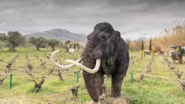 Desextinción: ¿y si resucitamos un mamut y, después, un dinosaurio?