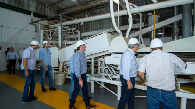 Jujuy construye puentes para acceder a experiencias de producción que dinamicen la foresto industria