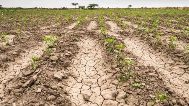 Refuerzan la asistencia a productores afectados por la sequía en Jujuy
