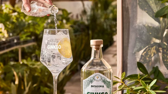 ¿Ya lo probaste? Ginkgo, el nuevo gin by Cerveza Patagonia, llegó al refugio de Jujuy para refrescar paladares este verano