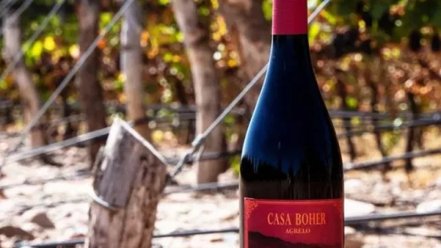 Casa Boher Malbec Agrelo 2021, lo nuevo del lodge vitivinícola