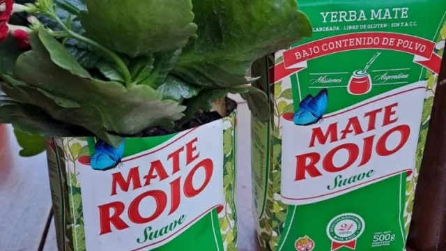 La empresa Ledesma apuesta a los envases biodegradables