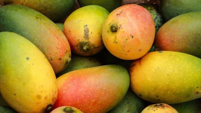 Jujuy busca consolidar la producción de frutas tropicales en el territorio