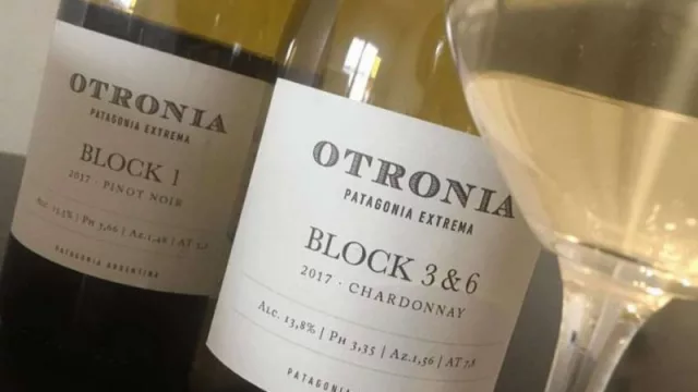 Sarmiento, nueva Indicación geográfica para la vitivinicultura