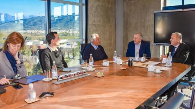 Jujuy busca potenciar su producción de fibra de vicuñas con la colaboración de Loro Piana (referente internacional)