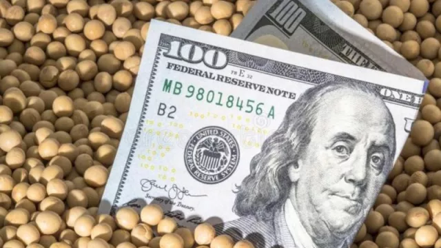 ¿Otro dólar soja o baja de retenciones? El Gobierno adelantó qué camino tomará