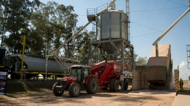 Dreyfus Company hizo pie en Salta con una nueva planta de acopio (la expansión de la multinacional)