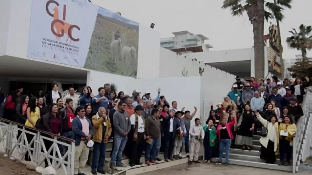Jujuy presente en congreso de ganadería camélida
