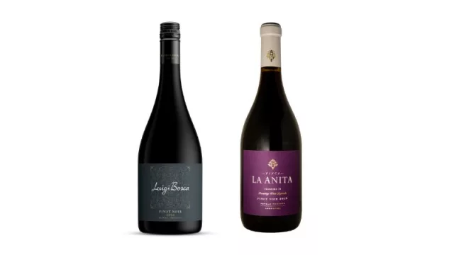De Francia al mundo: Pinot Noir, una variedad que seduce por su elegancia