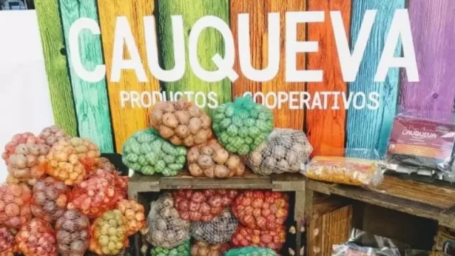 Cooperativa Cauqueva desarrolla proyecto que potencia la producción sustentable (la innovación y la sabiduría ancestral andina)