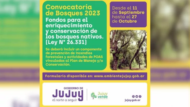 Lanzan convocatoria para la presentación de proyectos de protección ambiental de bosques nativos (con $ 200 millones de distribución)