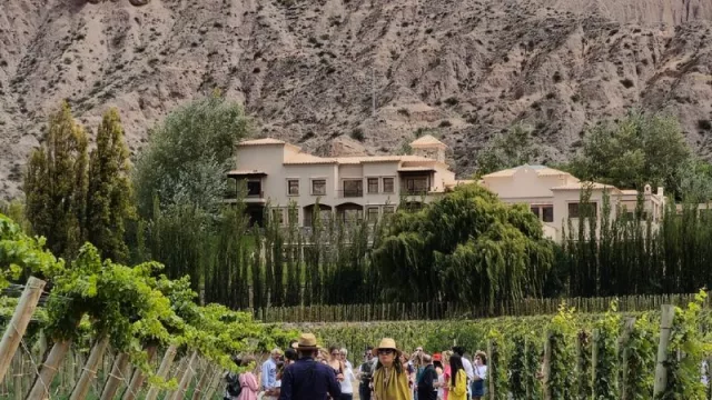 ¡Salúd! Llega la 5ta edición de la vendimia de El Bayeh en la Quebrada de Humahuaca