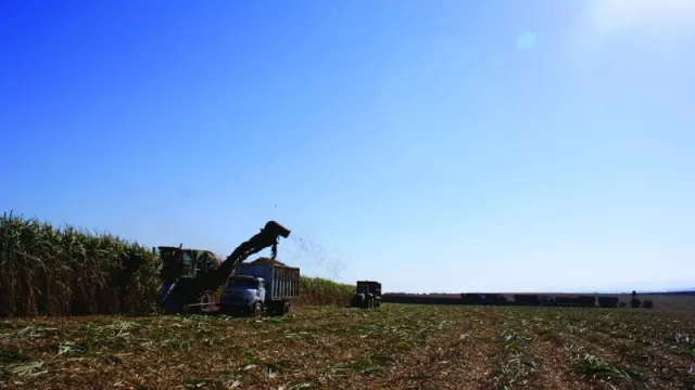 La zafra azucarera tucumana se encuentra en plena actividad (¿y en Jujuy?)
