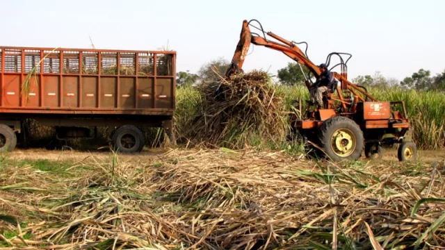 La zafra 2024 muestra un notable avance en Jujuy: los ingenios indicaron una producción positiva (y un aumento en la exportación de azúcar)