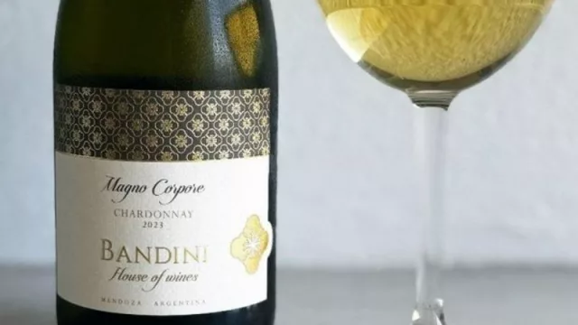 Finca Bandini presenta Chardonnay Magno Corpore (para quienes buscan una experiencia única en cada copa)