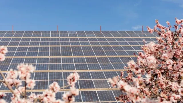 España podría reducir costos en más de 10 millones de euros gracias a la energía solar
