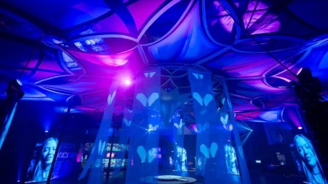 La impactante Exposición Nova, nuevamente en Miami: un homenaje a la esperanza y la resiliencia tras la masacre en Israel