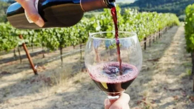 Mendoza en la agenda mundial del vino: la provincia brilla como referente internacional en la industria vitivinícola