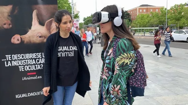 España se posiciona como uno de los mercados clave de proteína vegetal en Europa