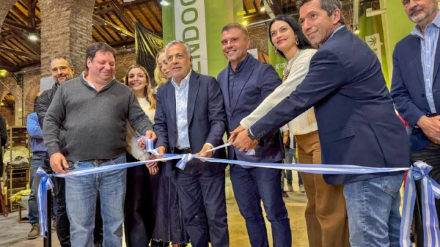 Cannabis medicinal: una oportunidad para diversificar la economía de Mendoza