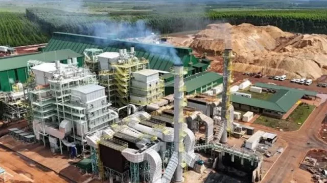 La revolución verde: energía, bosques y economía circular de la mano de San Alonso (la energía del futuro se produce con los residuos del bosque)