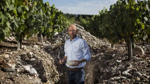 Desafíos climáticos y vinos extraordinarios: la cosecha 2025 de Doña Paula promete una calidad excepcional