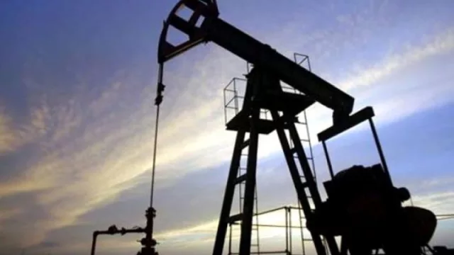 Fuerte crecimiento de la inversión en hidrocarburos: el upstream argentino alcanzó los 12.800 millones de dólares en 2024