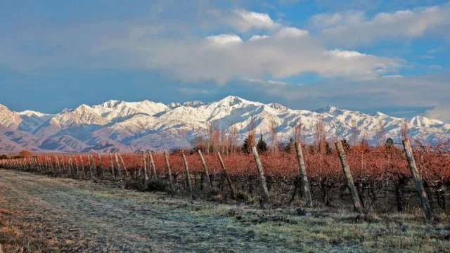 Las propuestas de inverno de Bodega Piedra Negra: cabalgatas entre viñedos y descuentos especiales
