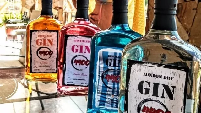 ¿Probaste el Gin 4400? Es salteño y conquistó Londres (y ahora quiere llegar a todo el país)