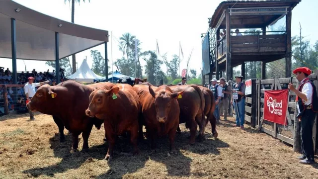 Expo Santiago Productivo 2025: continúa la vidriera del desarrollo local y motor de la economía regional