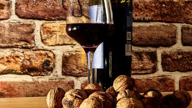 Mendoza comercializa nueces y vinos  desde el “hub” de Santa Catarina, Brasil