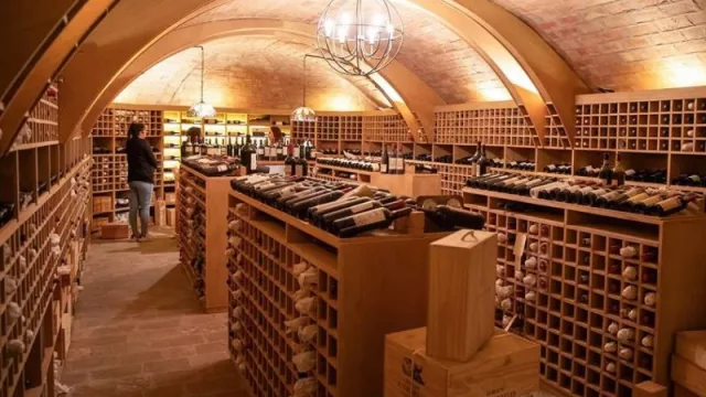 Neuquén recibió un 62% más de turistas en 2025 y consolida su posicionamiento como destino de experiencias