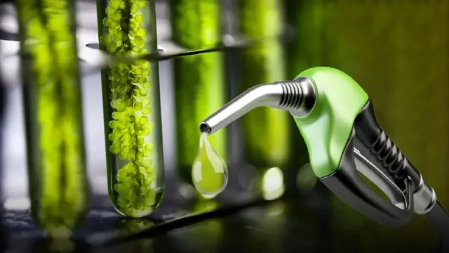 Los biocombustibles abren una nueva oportunidad para Argentina en la transición energética global