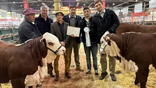 Santa Fe con "carne de primera" en la Expo Rural de Palermo (excelencia genética de 27 cabañas)