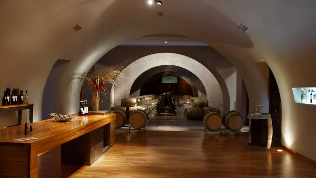 Bodega Malma apuesta a la sustentabilidad para llevar la identidad de la Patagonia al mundo