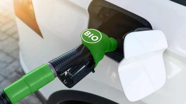 Biocombustibles: una alternativa para avanzar hacia energías renovables sin modificar toda la infraestructura